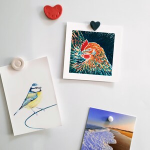 Cartão postal ilustrado, ilustração de chapim azul, lápis de cor, impressão fosca, cartão A6 imagem 3