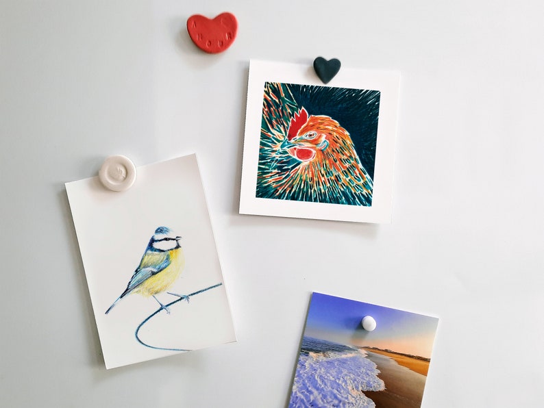 Cartão postal ilustrado, ilustração de chapim azul, lápis de cor, impressão fosca, cartão A6 imagem 3