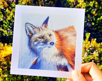 Carte renard illustration + enveloppe, impression mate carte postale carrée crayons de couleur