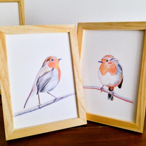 Cartes postales rouge-gorges lot de 2 cartes illustration crayons de couleur duo oiseaux amoureux impression mate 画像 6