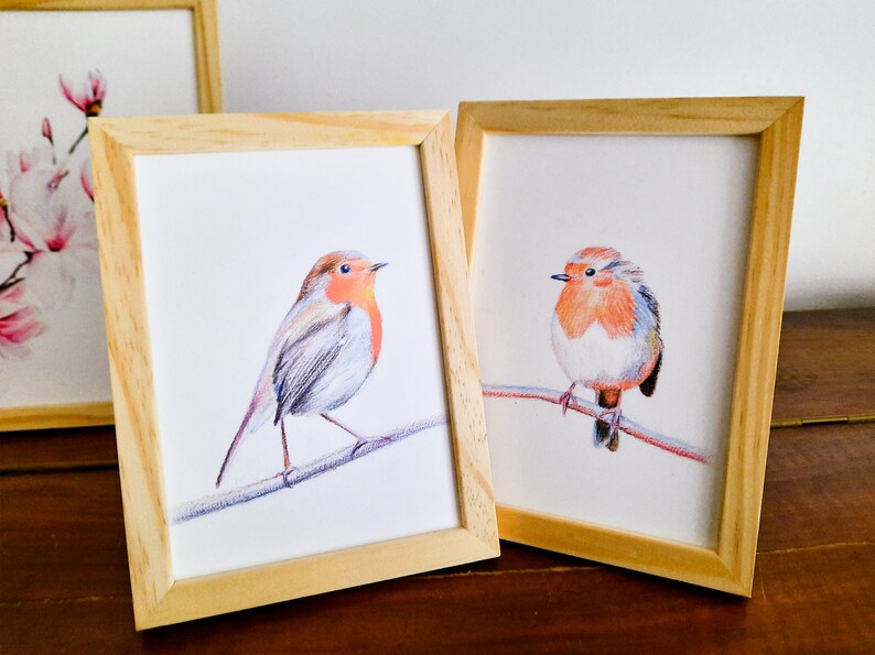 Cartes postales rouge-gorges lot de 2 cartes illustration crayons de couleur duo oiseaux amoureux impression mate 画像 6