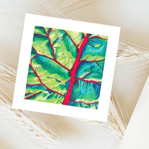 Chard leaf card illustration + envelope, chard drawing matte print square postcard colored pencils