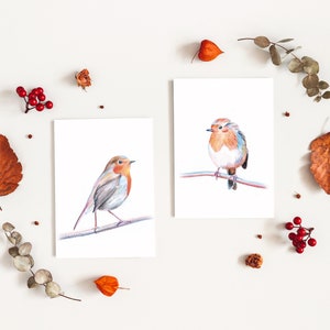 Cartes postales rouge-gorges lot de 2 cartes illustration crayons de couleur duo oiseaux amoureux impression mate 画像 2