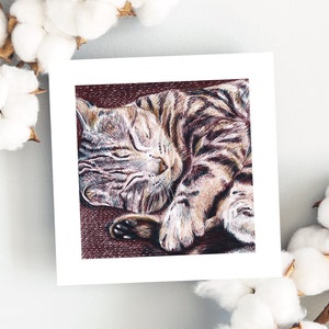 Leuke kattenkaart + envelop illustratie kleurpotloden matte print vierkante ansichtkaart vierkante envelop