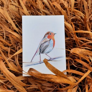 Cartes postales rouge-gorges lot de 2 cartes illustration crayons de couleur duo oiseaux amoureux impression mate 画像 4