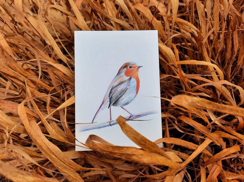 Cartes postales rouge-gorges lot de 2 cartes illustration crayons de couleur duo oiseaux amoureux impression mate 画像 4
