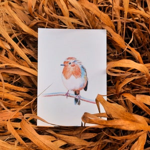 Cartes postales rouge-gorges lot de 2 cartes illustration crayons de couleur duo oiseaux amoureux impression mate 画像 5
