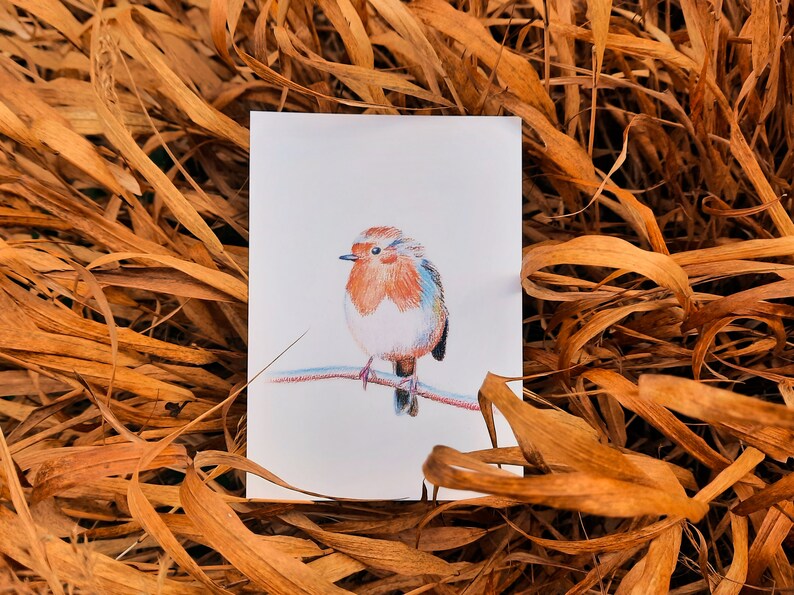 Cartes postales rouge-gorges lot de 2 cartes illustration crayons de couleur duo oiseaux amoureux impression mate 画像 5