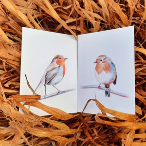 Robin postales conjunto de 2 tarjetas de ilustración lápices de colores dúo pájaros enamorados impresión mate