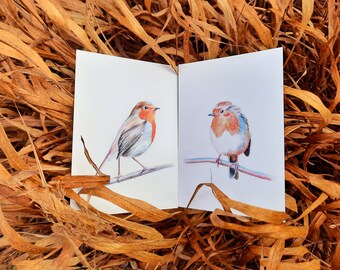 Robin postcards set of 2 cards illustration colored pencils duo birds in love matte print