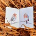 see more listings in the Garden birds section