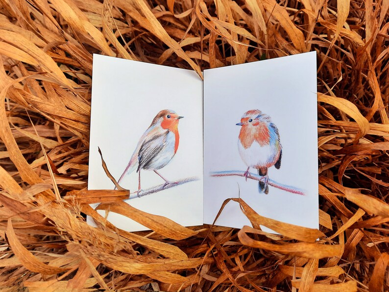 Cartes postales rouge-gorges lot de 2 cartes illustration crayons de couleur duo oiseaux amoureux impression mate 画像 1