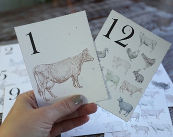 Printable Downloadable Vintage Look Number Flashcards | Homestead Farm Theme | Farmhouse Nursery Decor |