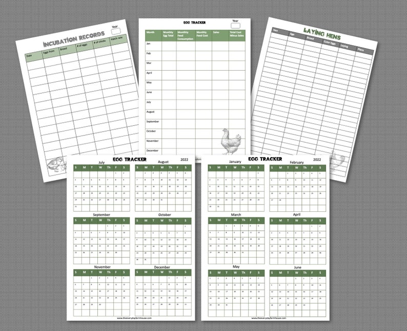 May include: Printable black and white egg tracker and laying hen record sheets. The sheets feature a green border and a chicken illustration. The egg tracker includes monthly calendars for 2022.