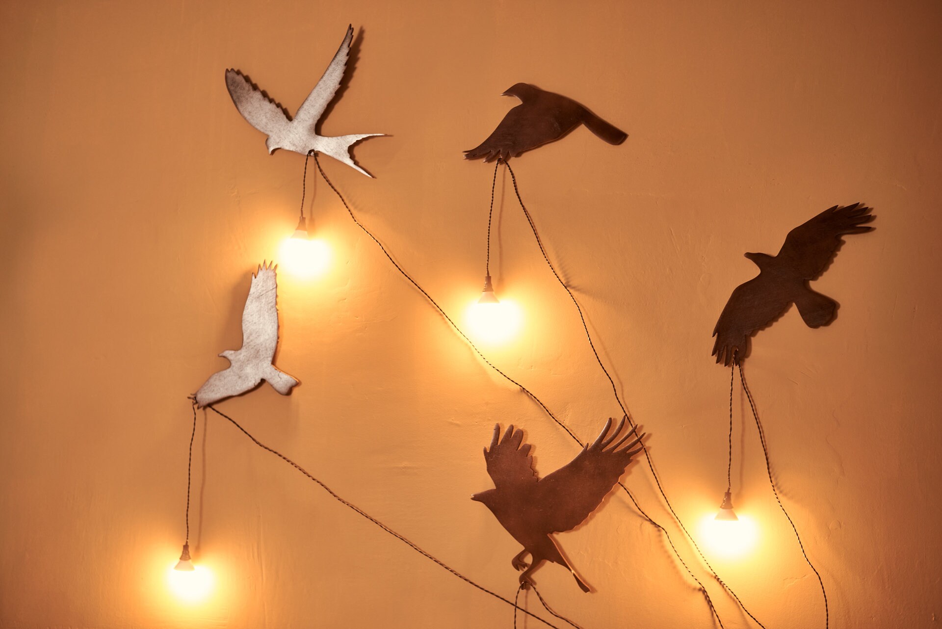 Set of 5 birds Wooden Wall Art with lamps. Freedom Etsy