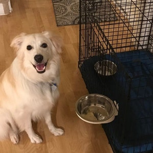 Crate bowl holder online
