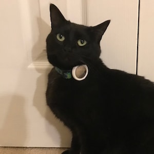 Cat Collar AirTag Holder / Find your Kitty with Apple AirTag!