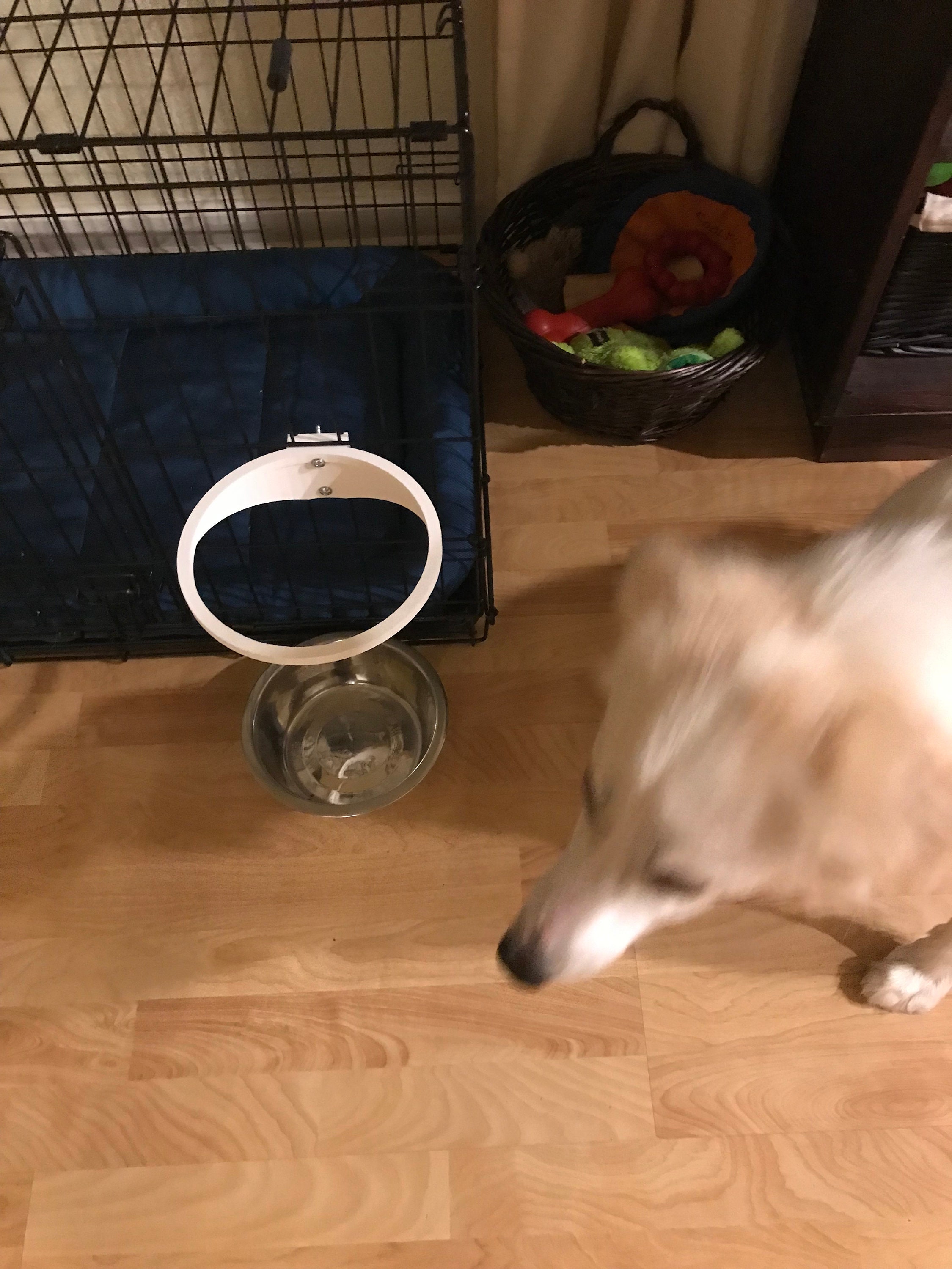Wall Mounted Dog Bowls Custom Wall Mounted Pet Feeder With Name Clear Acrylic  Elevated