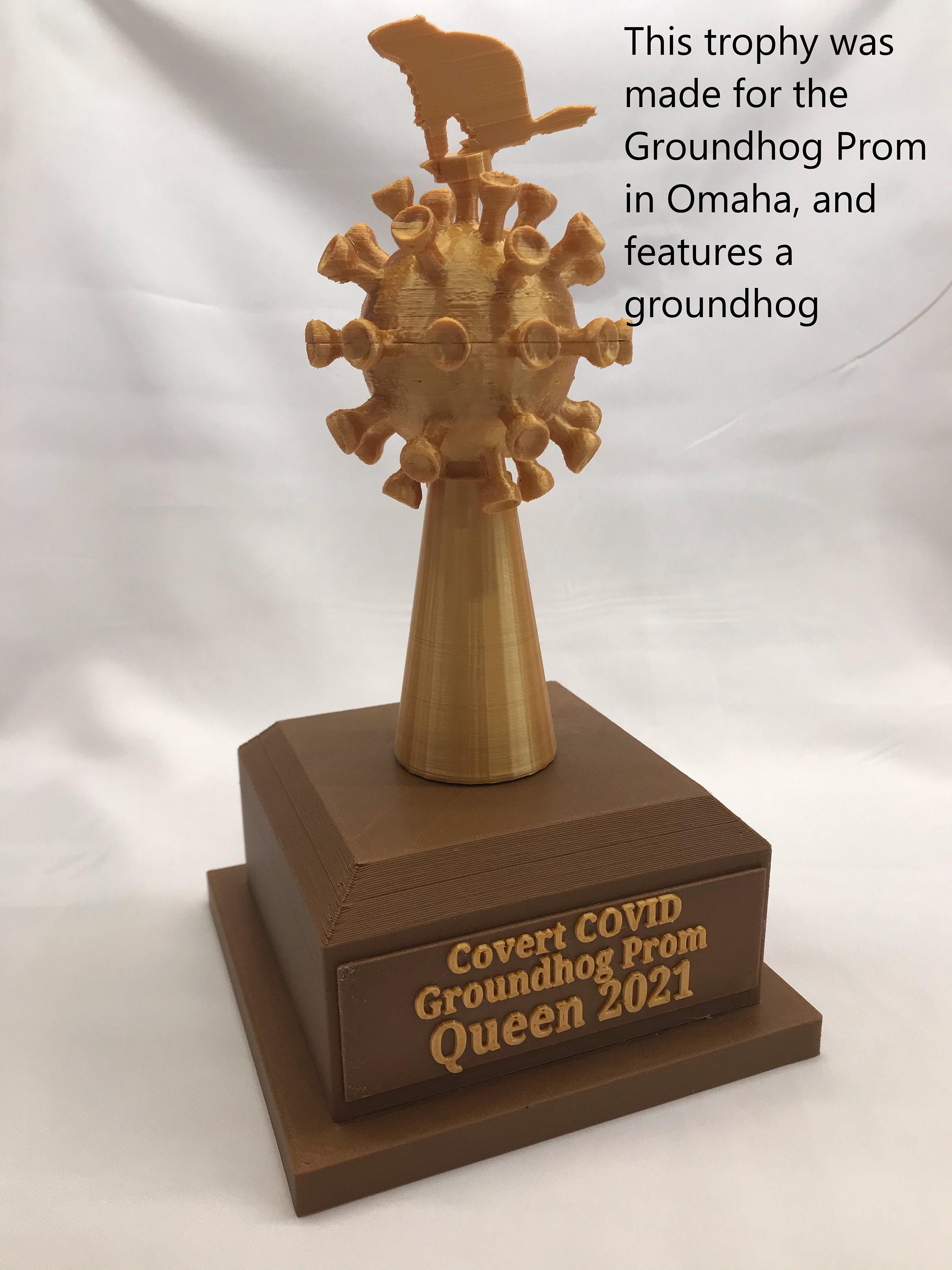 3D Printed COVID Trophy / Customizable Trophy / Doctor & Etsy UK