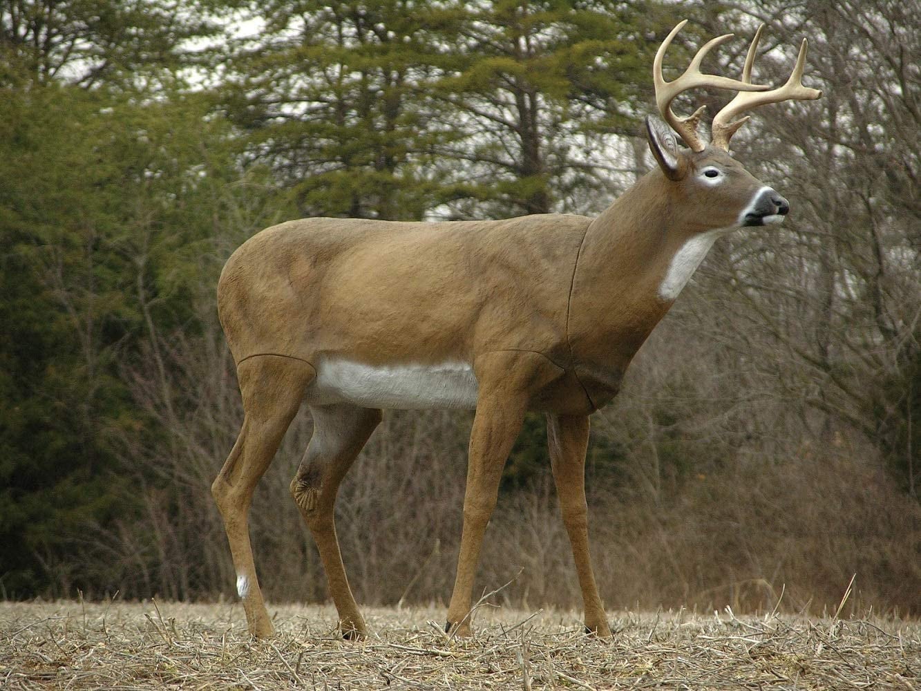 Boss Buck Deer Decoy Etsy