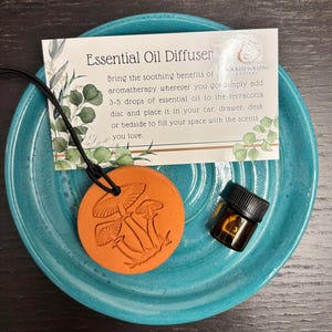May include: An essential oil diffuser set featuring a terracotta disc with a mushroom design, a small amber bottle, and a card. The card reads "Essential Oil Diffuser" and provides instructions. The set is displayed on a turquoise plate.