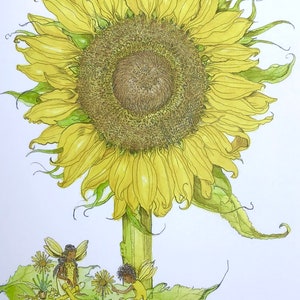 Tarjeta de hadas de girasol