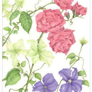 Climbing Roses en Clematis kaart