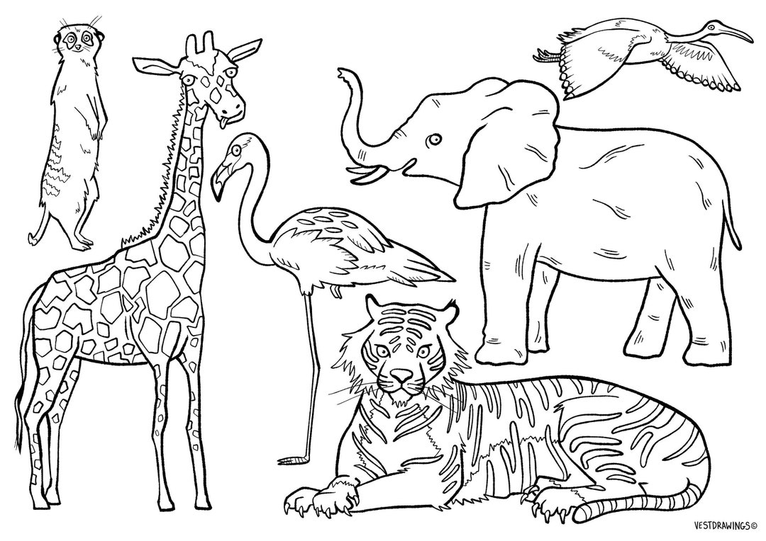 Wild Animals Colouring Sheet Digital Download Print at Home. Etsy