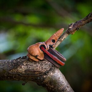 May include: A brown leather ring with a red stripe and a unique bird-shaped design. The ring is sitting on a branch.