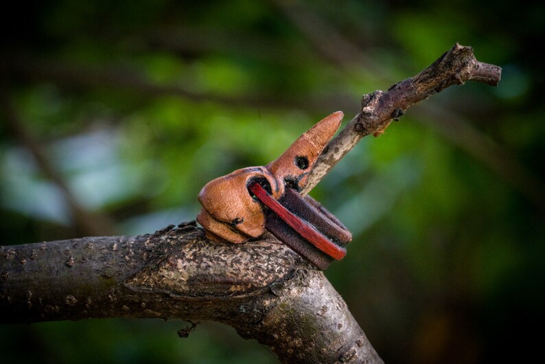 May include: A brown leather ring with a red stripe and a unique bird-shaped design. The ring is sitting on a branch.