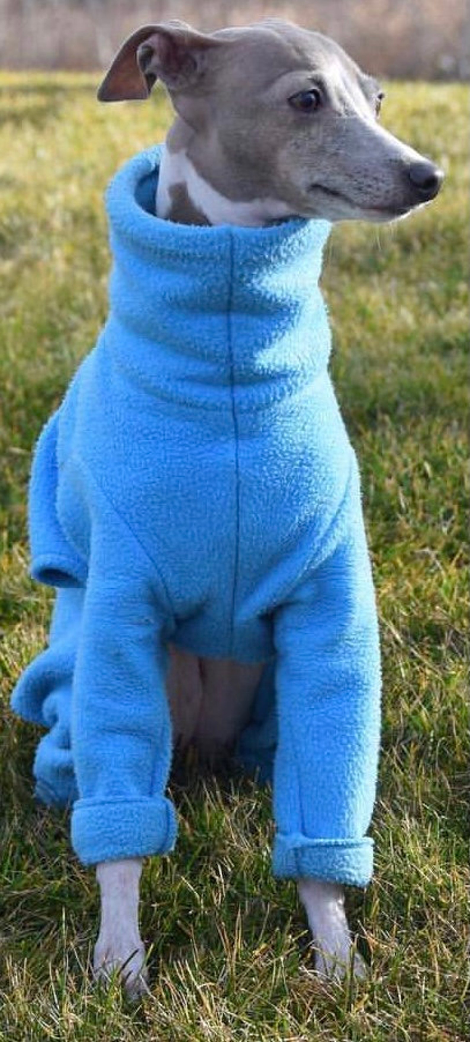 Italian Greyhound dog fleece pajamas Etsy