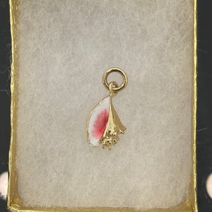 The best 14kt solid gold mini conch shell pendant 2cm long