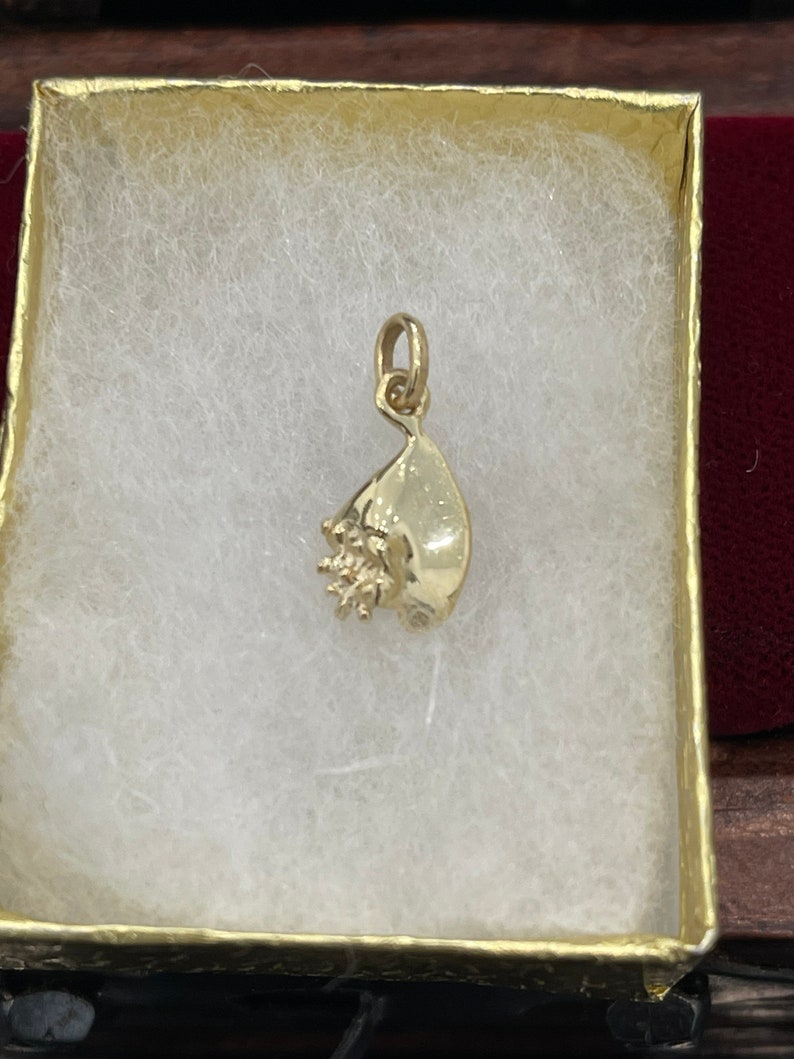 14k Solid Gold Mini Conch Shell Pendant - Etsy