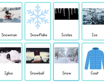 Winter word/picture  cards