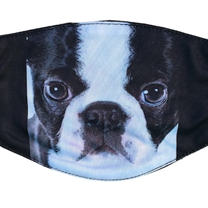 May include: Black and white Boston Terrier face printed on a black fabric face mask.