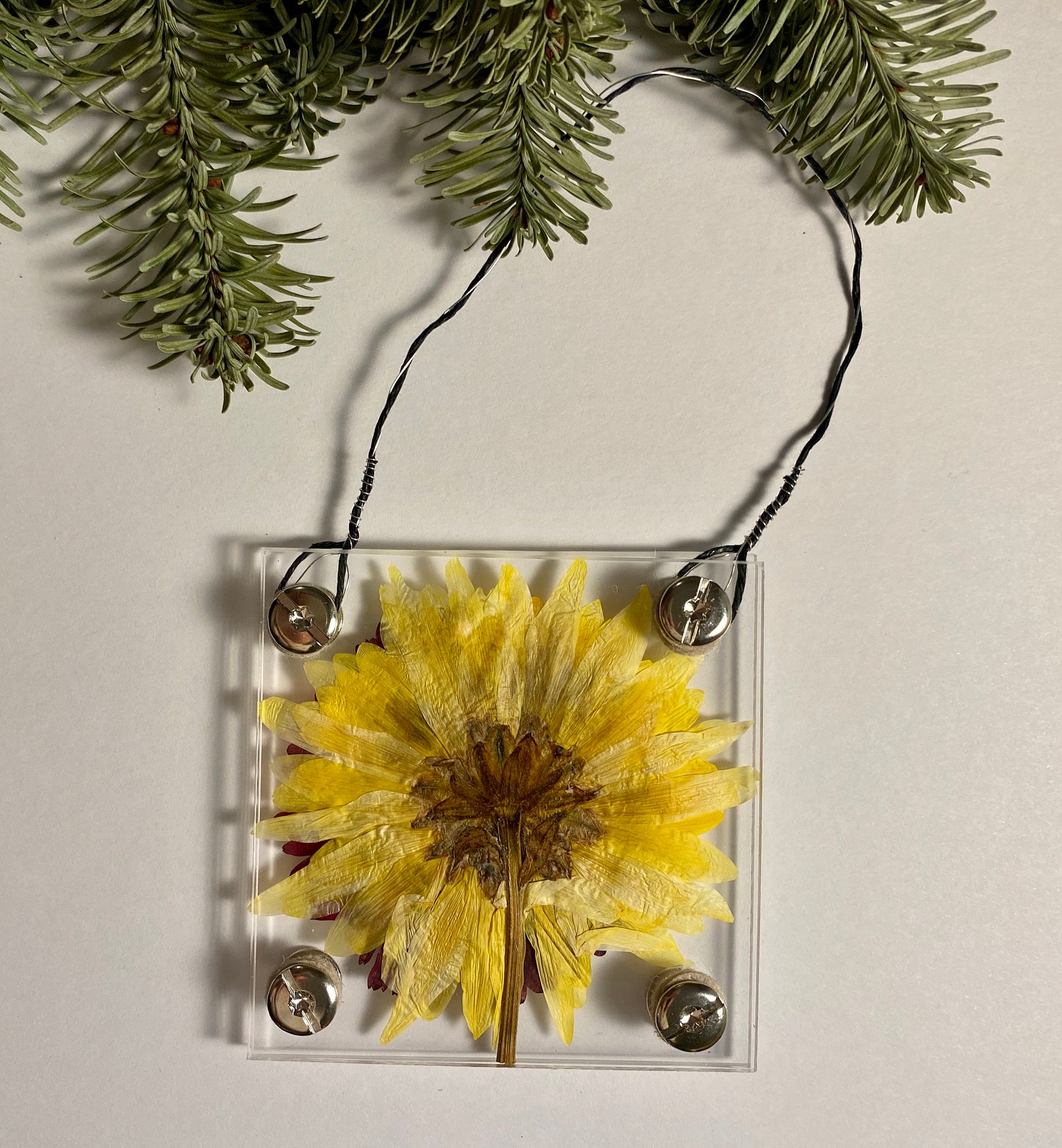 Pressed Flower Art Hanging Ornament Celestial Etsy