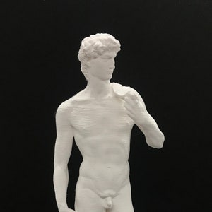 Michelangelo&#39;s David | Many Sizes & Colors | 3D Printed and Hand Finished  Statue of David | Home Decor