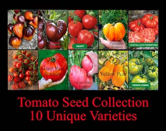 Mélange de graines de tomates - 10 variétés différentes, 50 graines, collection héritage et exotique