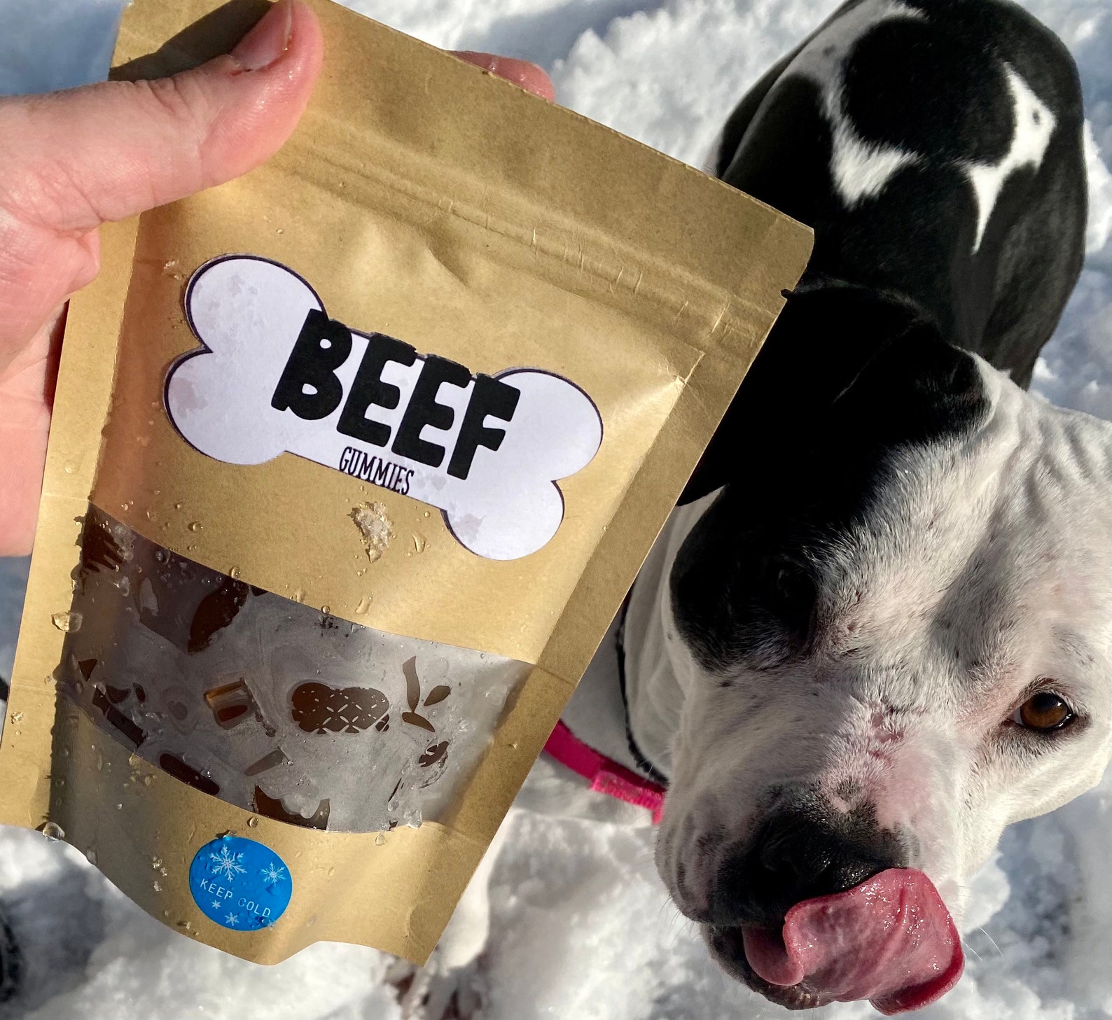 Natural Homemade Beef Dog Treat Gummies Natural Dog Treats Etsy