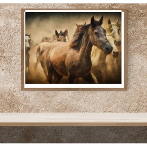Gratis kudde van paarden kunst beeld, hoge resolutie schilderij, artistiek behang, vintage schilderij, kunst aan de muur, behang, artistieke schilderkunst