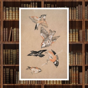 Love leading the Pilgrim - Study of Birds, Sir Edward Burne–Jones, Art Print, Famous Wall Art, Famous Paintings, Art Gifts, Wall decor print