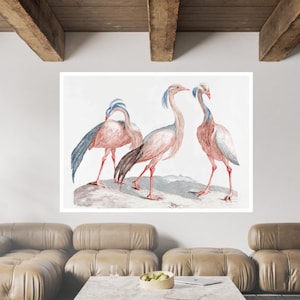 Miss Crane Birds by Johan Teyler, Dutch Golden Age, Dutch Print, Art Gifts, Vintage Painting Prints, gifts for him/her, wall art