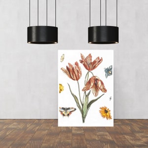 Flowers & butterflies print by Johan Teyler, Dutch Golden Age, Dutch Print, Art Gifts, Vintage Painting Prints, gifts for him/her, wall art