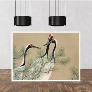 Cranes from Momoyogusa print by Kamisaka Sekka, Art Nouveau, Japanese Painting, Art Gifts, Vintage Painting Prints, Decor, gifts for her
