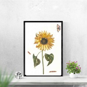 Flowers and  butterflies by Johan Teyler, Dutch Golden Age, Dutch Print, Art Gifts, Vintage Painting Prints, gifts for him/her, wall art