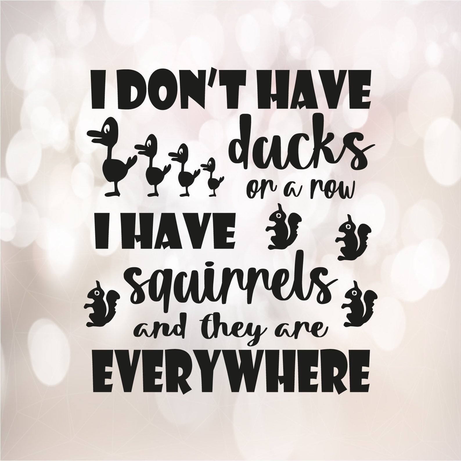 I Don't Have Ducks or a Row I Have Squirrels and They Are Etsy