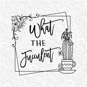 What the fucculent SVG funny cactus pictures png, eps, dxf. Succulents pictures svg. Humor cactus image. Digital download. Funny succulent.