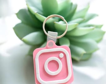 May include: A pink and white Instagram logo keychain with a silver key ring. The keychain is square-shaped with a white outline and a white camera icon. The background features a green succulent plant.