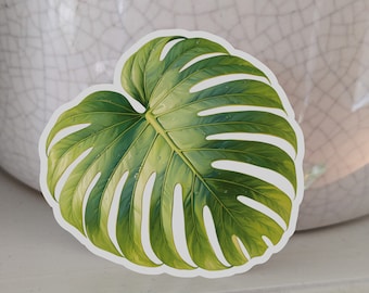 Monstera leaf Vinyl Sticker - book lover sticker, plant lover Sticker