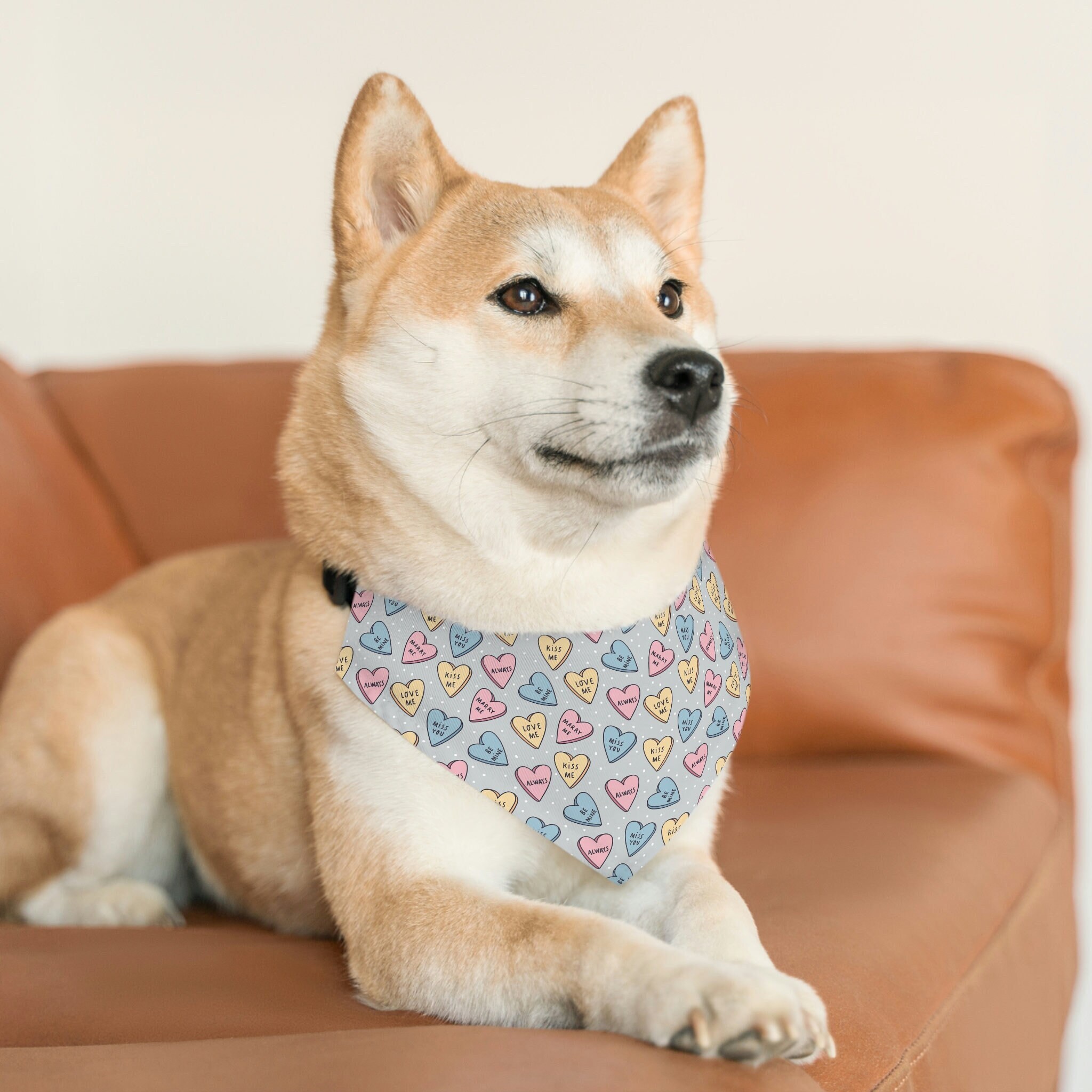 Candy Heart Pet Bandana Collar | Conversation Hearts | Dog Bandana | Valentines Day | Collar Included